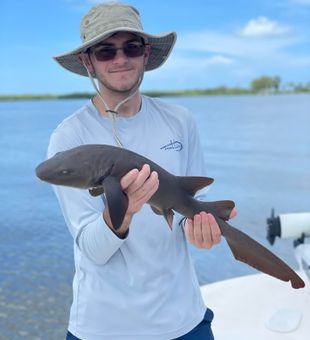 Nurse Shark reeled from Cape Coral, FL